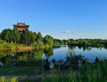 91麻豆精品国产观看免费-91麻豆精品，拓宽视野的国产优质内容平台