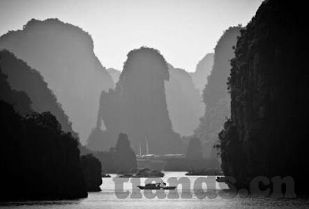 果冻传媒的作品-探索果冻传媒的创意之旅，从作品看其独特魅力
