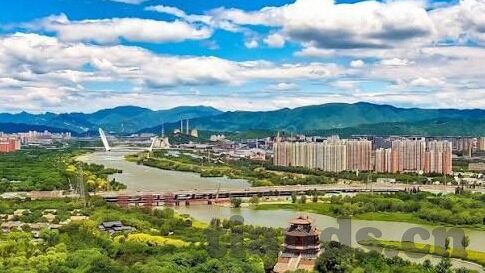 麻豆传媒直播app官网最新-洞悉麻豆传媒直播app官网最新动态，直击娱乐前沿的深度剖析