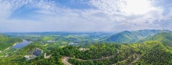www.91麻豆视频-探索互联网视频平台的多元化魅力