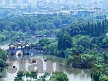 亚洲无码人妻在线-探索亚洲文化与网络现象，无码人妻内容的背后