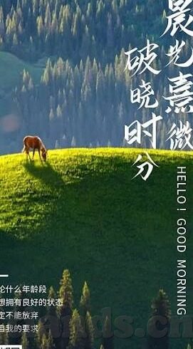 抑欲人妻-抑欲人妻，在传统与自我之间的微妙平衡