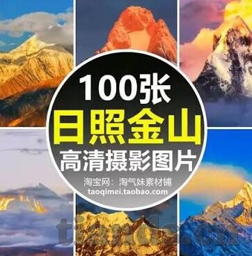 在线伦理电院网-探索在线伦理教育的未来，在线伦理电院网的前景与挑战